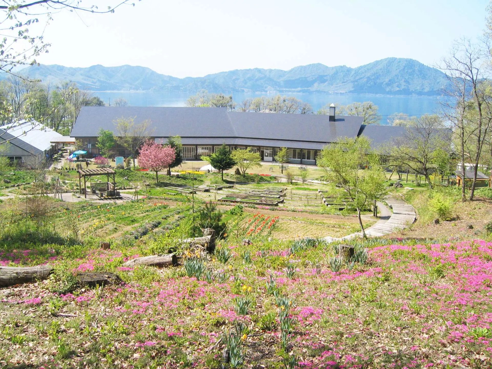 🌿 타자와코 허브 가든 하트 허브 이미지 1